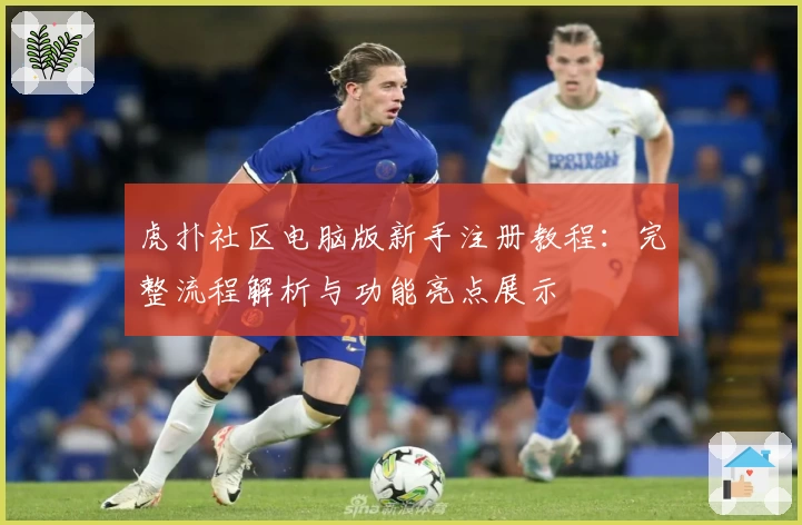 虎扑社区电脑版新手注册教程:完整流程解析与功能亮点展示