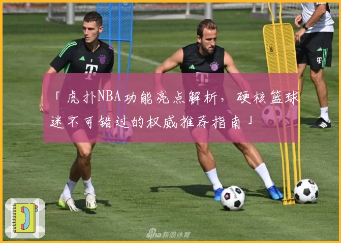 「虎扑NBA功能亮点解析，硬核篮球迷不可错过的权威推荐指南」
